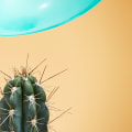 A Practical Guide to Managing Risk for Small Business Success